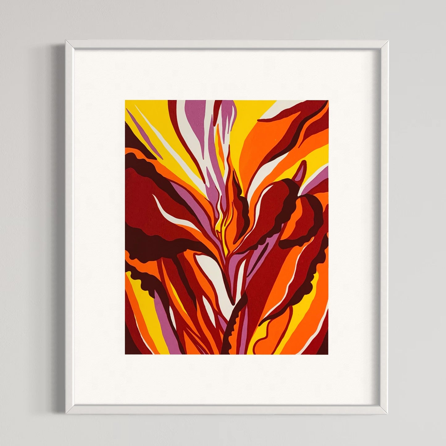 red canna