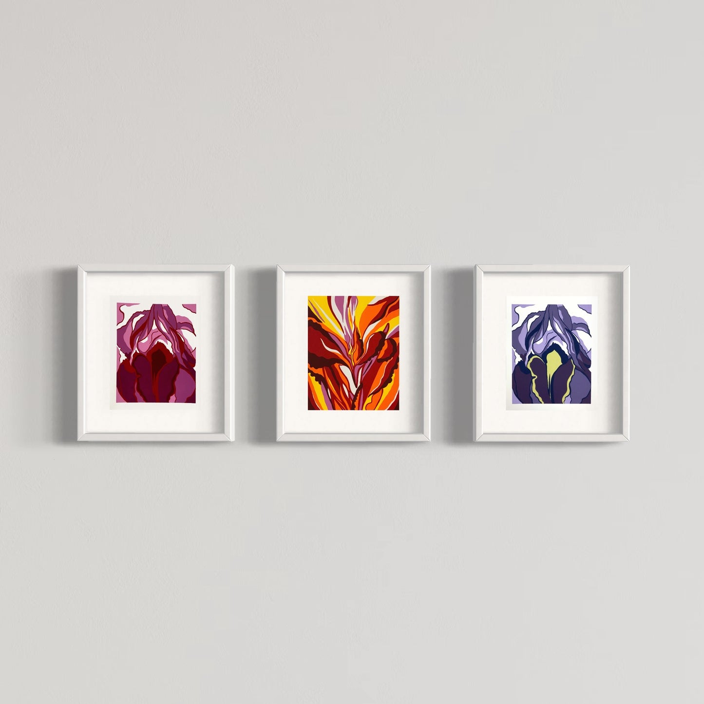 purple iris